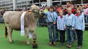 Champion Rind